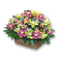 Волшебство в каждом букете: Доставка букетов цветов в Гданьске с Yes.ua