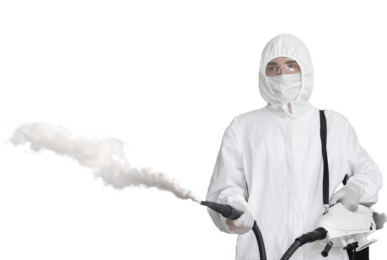 Как избавиться от моли в Москве: практические советы и услуги специалистов