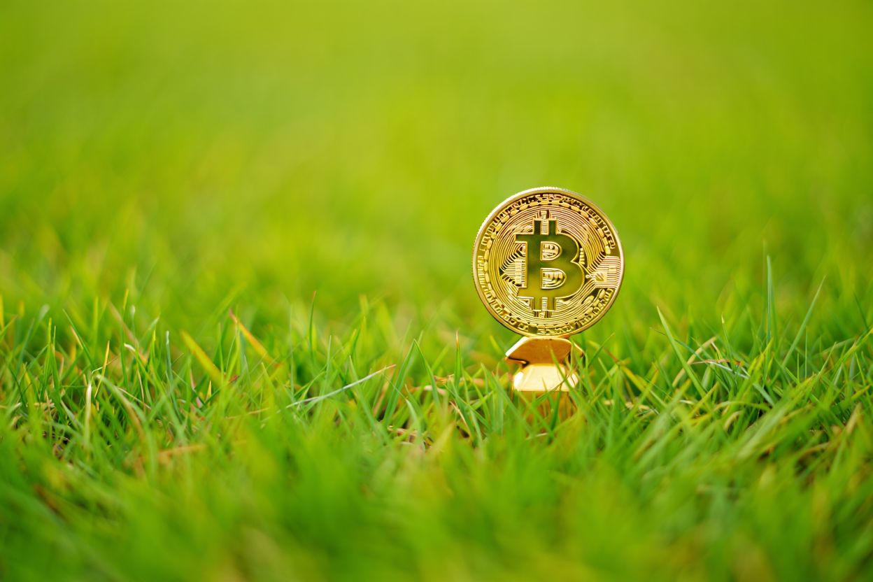 Зеленый майнинг: как криптовалюты могут стать экологически чистыми?