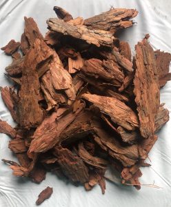 Кора лиственницы: Природный дар для здоровья и экологии